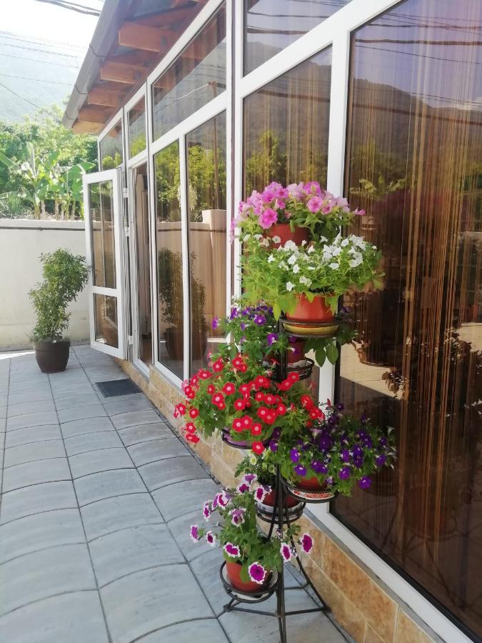 Mini-Hotel Yanson 2 Gagry Zewnętrze zdjęcie